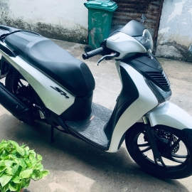 Sh ý việt zin